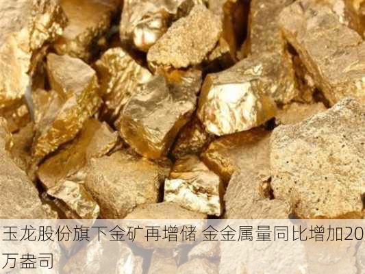 玉龙股份旗下金矿再增储 金金属量同比增加20万盎司