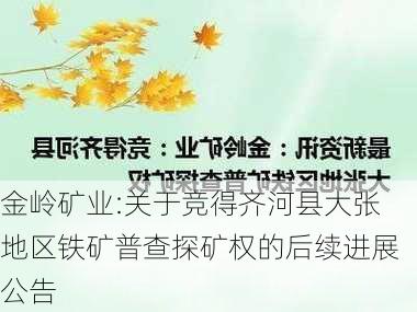 金岭矿业:关于竞得齐河县大张地区铁矿普查探矿权的后续进展公告