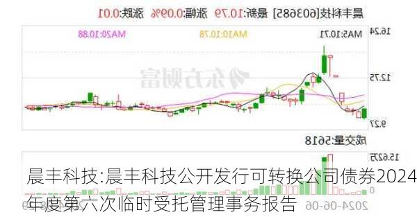 晨丰科技:晨丰科技公开发行可转换公司债券2024年度第六次临时受托管理事务报告