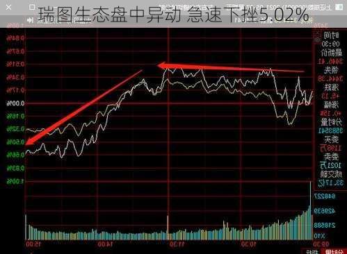 瑞图生态盘中异动 急速下挫5.02%