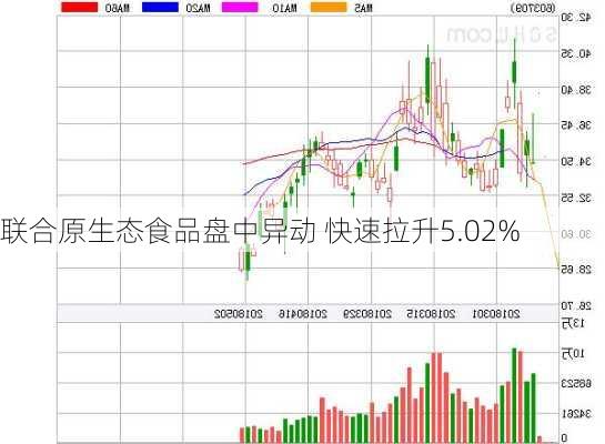 联合原生态食品盘中异动 快速拉升5.02%