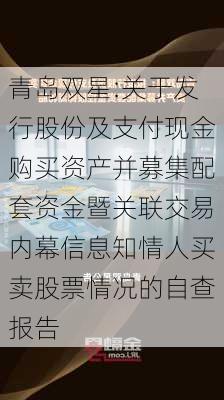 青岛双星:关于发行股份及支付现金购买资产并募集配套资金暨关联交易内幕信息知情人买卖股票情况的自查报告