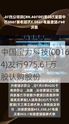 中国宝力科技(00164)发行975.61万股认购股份