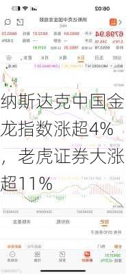 纳斯达克中国金龙指数涨超4%，老虎证券大涨超11%