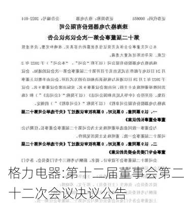 格力电器:第十二届董事会第二十二次会议决议公告