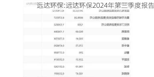 远达环保:远达环保2024年第三季度报告