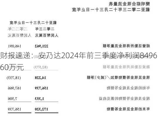 财报速递：安乃达2024年前三季度净利润8496.60万元