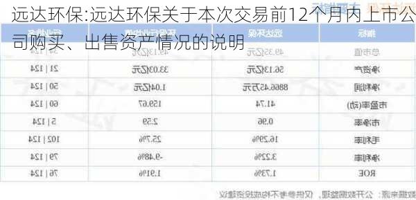 远达环保:远达环保关于本次交易前12个月内上市公司购买、出售资产情况的说明