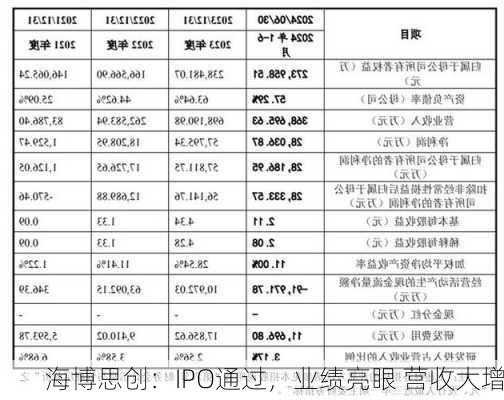 海博思创：IPO通过，业绩亮眼 营收大增