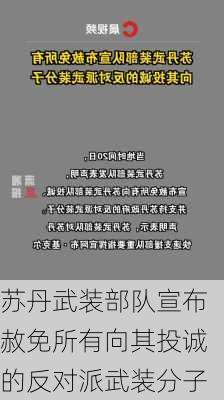 苏丹武装部队宣布赦免所有向其投诚的反对派武装分子