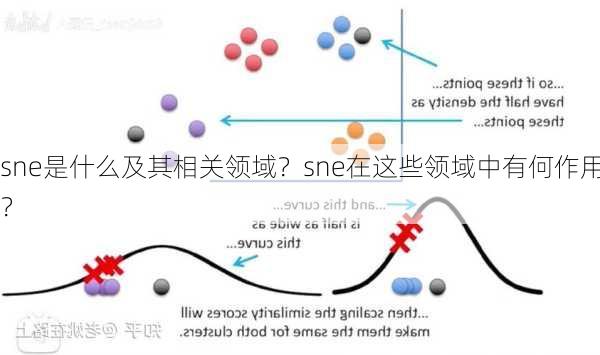 sne是什么及其相关领域？sne在这些领域中有何作用？