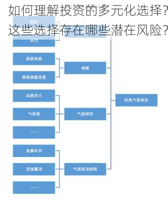 如何理解投资的多元化选择？这些选择存在哪些潜在风险？