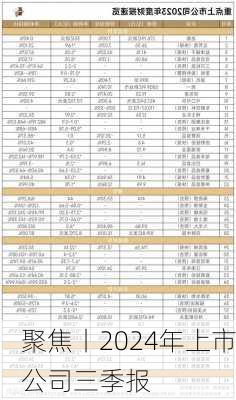 聚焦丨2024年上市公司三季报