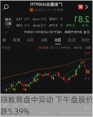 丽翔教育盘中异动 下午盘股价大跌5.39%