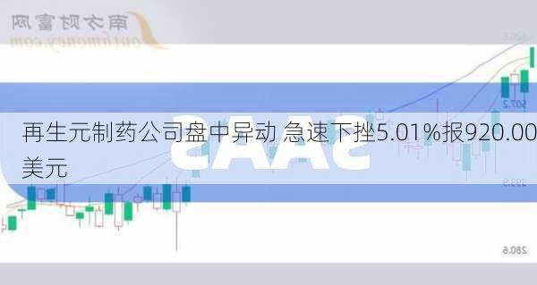 再生元制药公司盘中异动 急速下挫5.01%报920.00美元