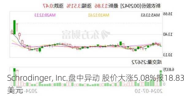 Schrodinger, Inc.盘中异动 股价大涨5.08%报18.83美元