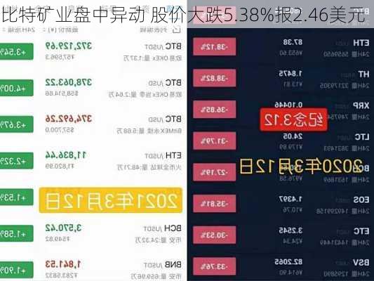 比特矿业盘中异动 股价大跌5.38%报2.46美元