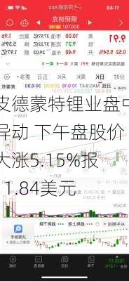 皮德蒙特锂业盘中异动 下午盘股价大涨5.15%报11.84美元