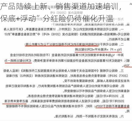 产品陆续上新、销售渠道加速培训，“保底+浮动”分红险仍待催化升温