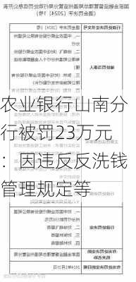 农业银行山南分行被罚23万元：因违反反洗钱管理规定等