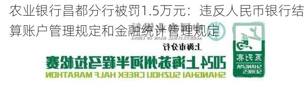 农业银行昌都分行被罚1.5万元：违反人民币银行结算账户管理规定和金融统计管理规定