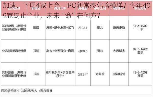 加速，下周4家上会，IPO新常态化啥模样？今年409家终止企业，未来“命”在何方？