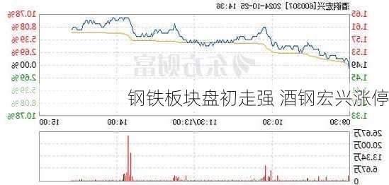 钢铁板块盘初走强 酒钢宏兴涨停