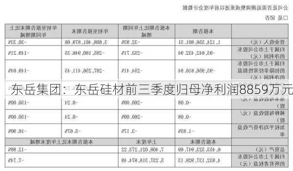 东岳集团：东岳硅材前三季度归母净利润8859万元