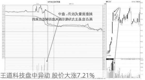 王道科技盘中异动 股价大涨7.21%