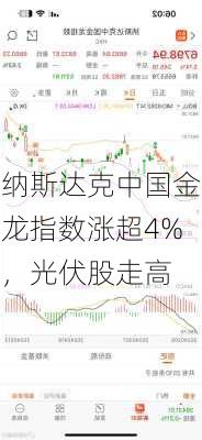 纳斯达克中国金龙指数涨超4%，光伏股走高