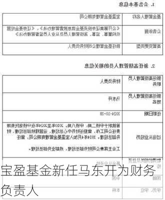 宝盈基金新任马东开为财务负责人