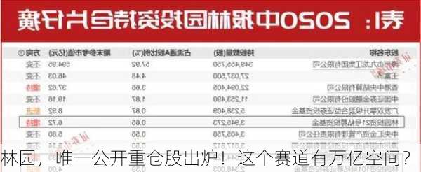 林园，唯一公开重仓股出炉！这个赛道有万亿空间？