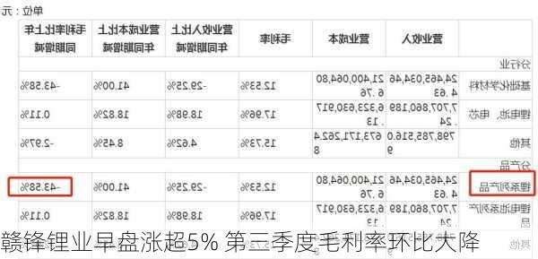 赣锋锂业早盘涨超5% 第三季度毛利率环比大降