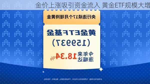 金价上涨吸引资金流入 黄金ETF规模大增