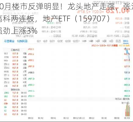 10月楼市反弹明显！龙头地产走强，张江高科两连板，地产ETF（159707）强劲上涨3%