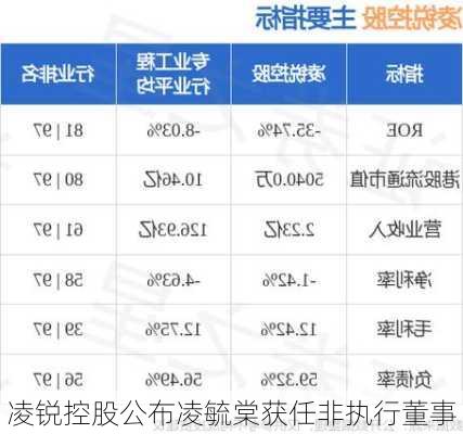 凌锐控股公布凌毓棠获任非执行董事