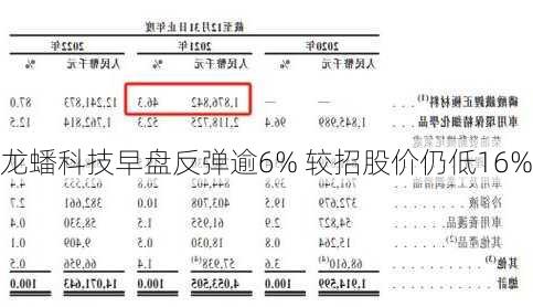 龙蟠科技早盘反弹逾6% 较招股价仍低16%