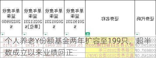 个人养老Y份额基金两年扩容至199只，超半数成立以来业绩回正