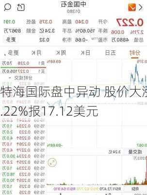 特海国际盘中异动 股价大涨5.22%报17.12美元