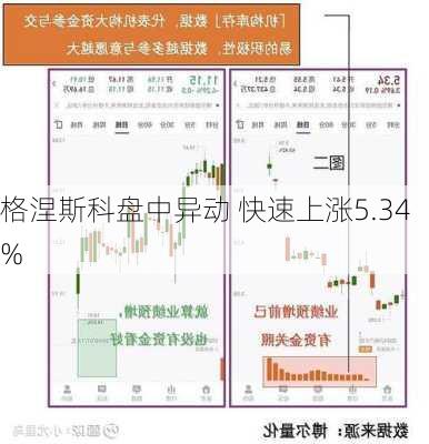 格涅斯科盘中异动 快速上涨5.34%