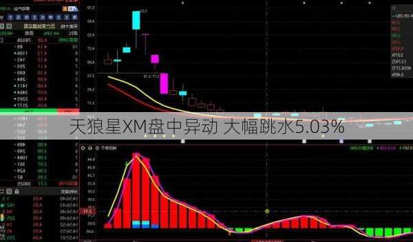 天狼星XM盘中异动 大幅跳水5.03%