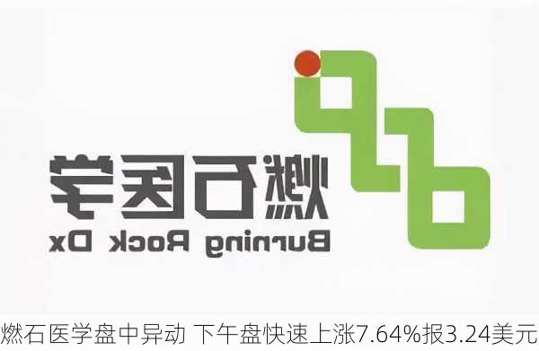 燃石医学盘中异动 下午盘快速上涨7.64%报3.24美元