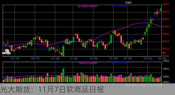 光大期货：11月7日软商品日报