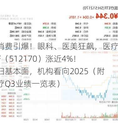 大消费引爆！眼科、医美狂飙，医疗ETF（512170）涨近4%！回归基本面，机构看向2025（附医疗Q3业绩一览表）