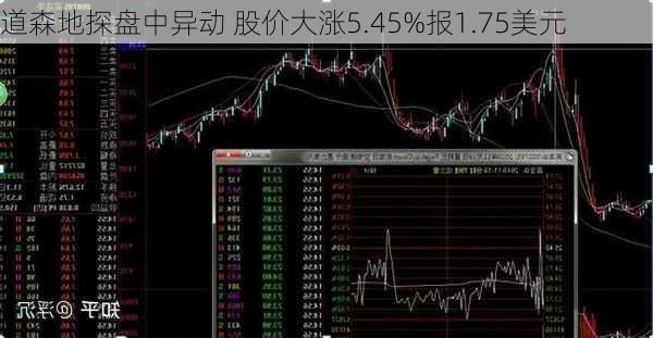 道森地探盘中异动 股价大涨5.45%报1.75美元