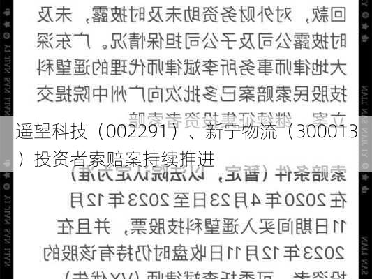 遥望科技（002291）、新宁物流（300013）投资者索赔案持续推进