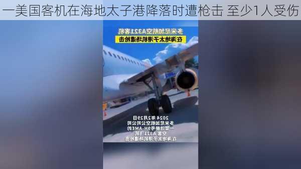 一美国客机在海地太子港降落时遭枪击 至少1人受伤