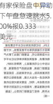 有家保险盘中异动 下午盘急速跳水5.00%报0.333美元