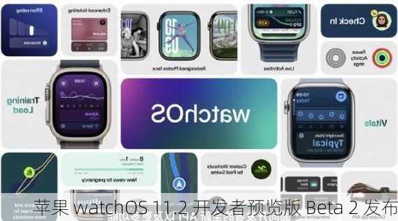 苹果 watchOS 11.2 开发者预览版 Beta 2 发布