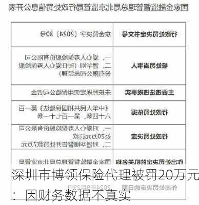 深圳市博领保险代理被罚20万元：因财务数据不真实